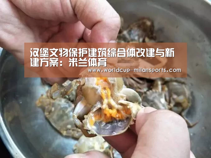 汉堡文物保护建筑综合体改建与新建方案:米兰体育(图1) 米兰体育报