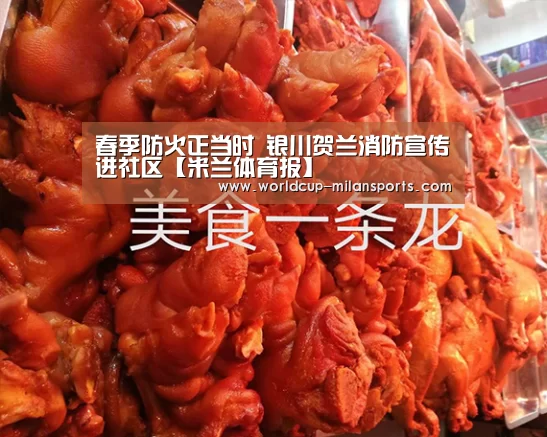 春季防火正当时 银川贺兰消防宣传进社区【米兰体育报】(图1) 官网入口